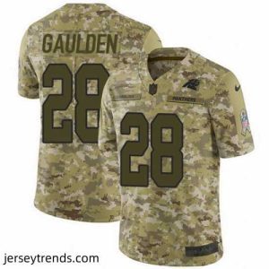Striking Nike Panthers #28 Rashaan Gaulden Camo Mens Stitched NFL Limited 2018 Salute To Service Jersey