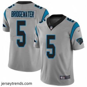 Magnificent Nike Panthers 5 Teddy Bridgewater Silver Stitched NFL Limited Inverted Legend Jersey